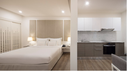 1 Bedroom Studio